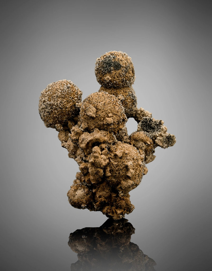 Siderite from Nikolaevskiy Mine, Dalnegorsk, Dalnegorsk Urban District, Primorsky Krai, Russia image