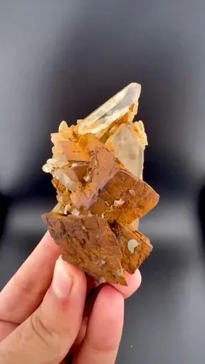 specimen video