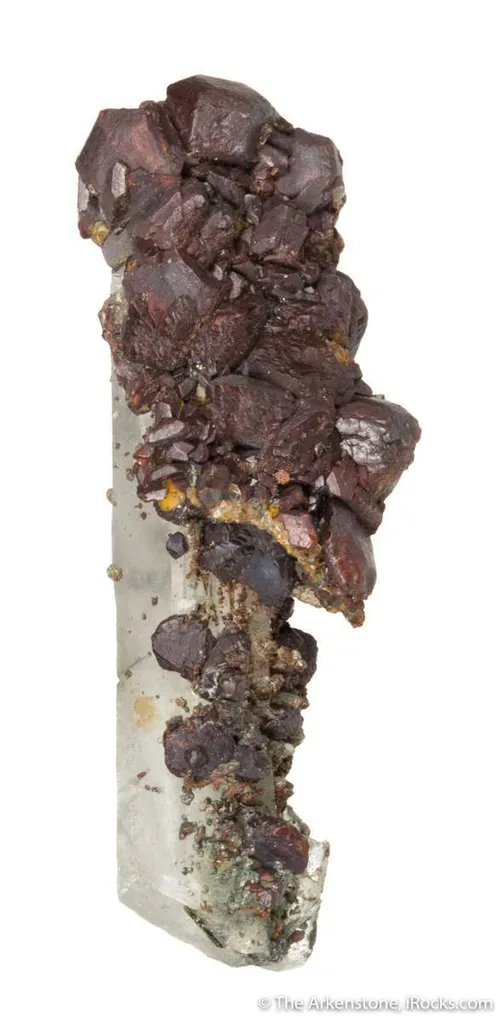 Siderite "Horse Tooth" on Quartz - image 2