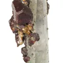 Siderite "Horse Tooth" on Quartz - image 1
