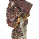 Siderite "Horse Tooth" on Quartz - image 4