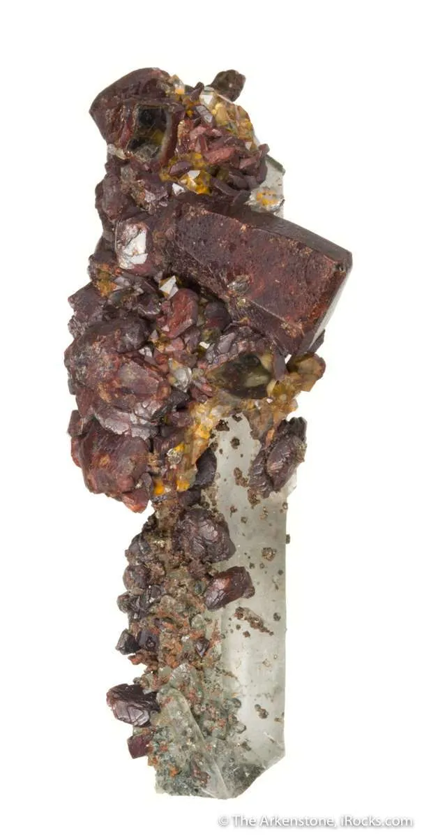 Siderite "Horse Tooth" on Quartz - image 4