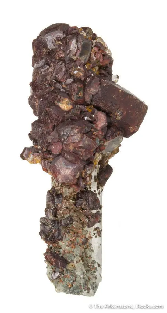 Siderite "Horse Tooth" on Quartz - image 3