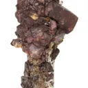 Siderite "Horse Tooth" on Quartz - image 3