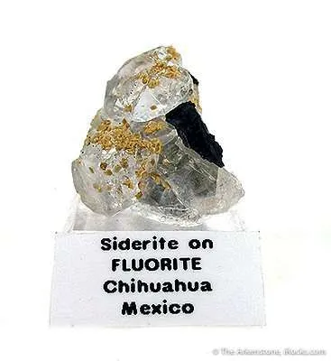 Siderite on Fluorite image