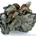 Siderite, on Pyrite - image 1