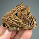 Siderite on Pyrite after Pyrrhotite - image 2