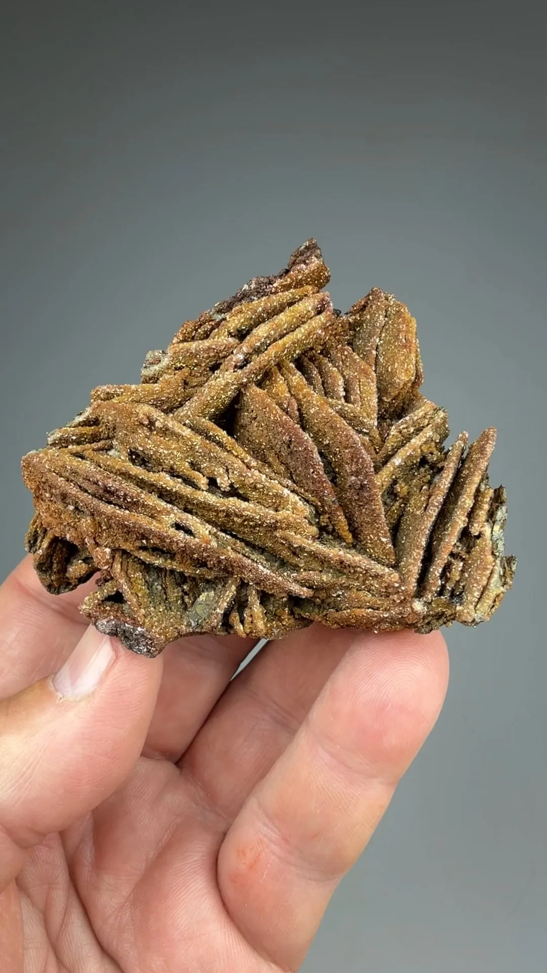 Siderite on Pyrite after Pyrrhotite - image 2