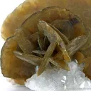 Siderite on Quartz - image 2