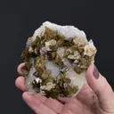 SIDERITE on QUARTZ - image 2