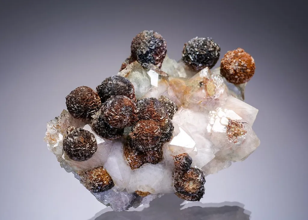 Siderite on Quartz image