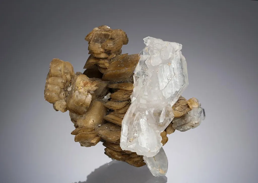 Siderite on Quartz image