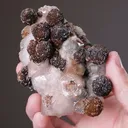 Siderite on Quartz - image 2