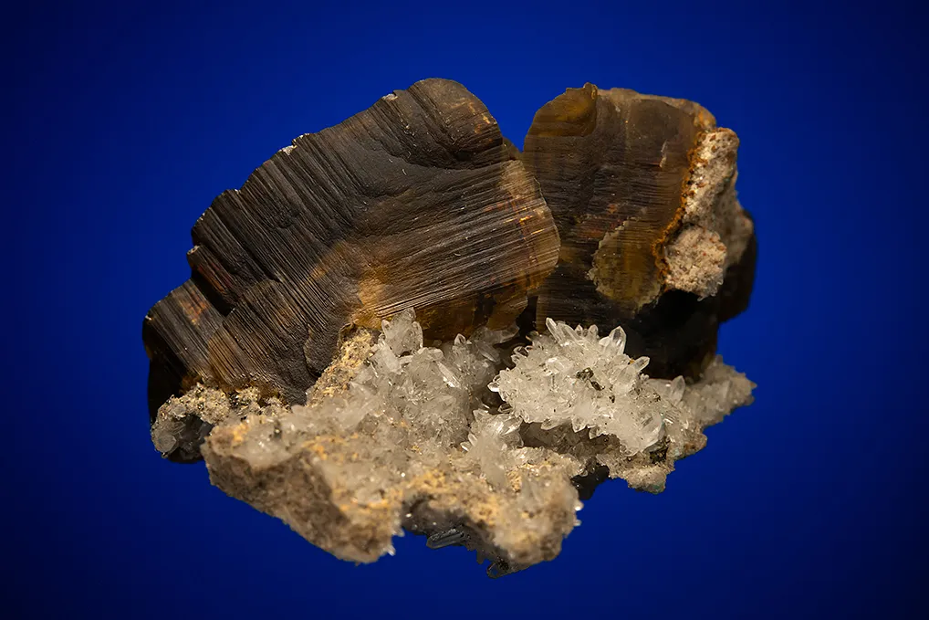 Siderite on Quartz image