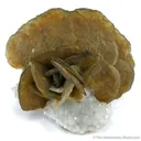 Siderite on Quartz - image 1