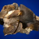 Siderite on Quartz - image 4