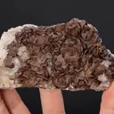Siderite on Quartz - image 2