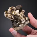 Siderite on Quartz with Chalcopyrite - image 2