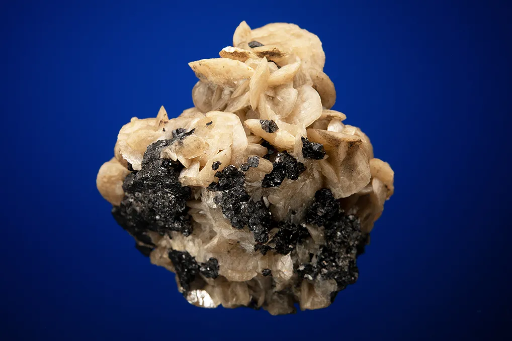 Siderite on Sphalerite - image 4