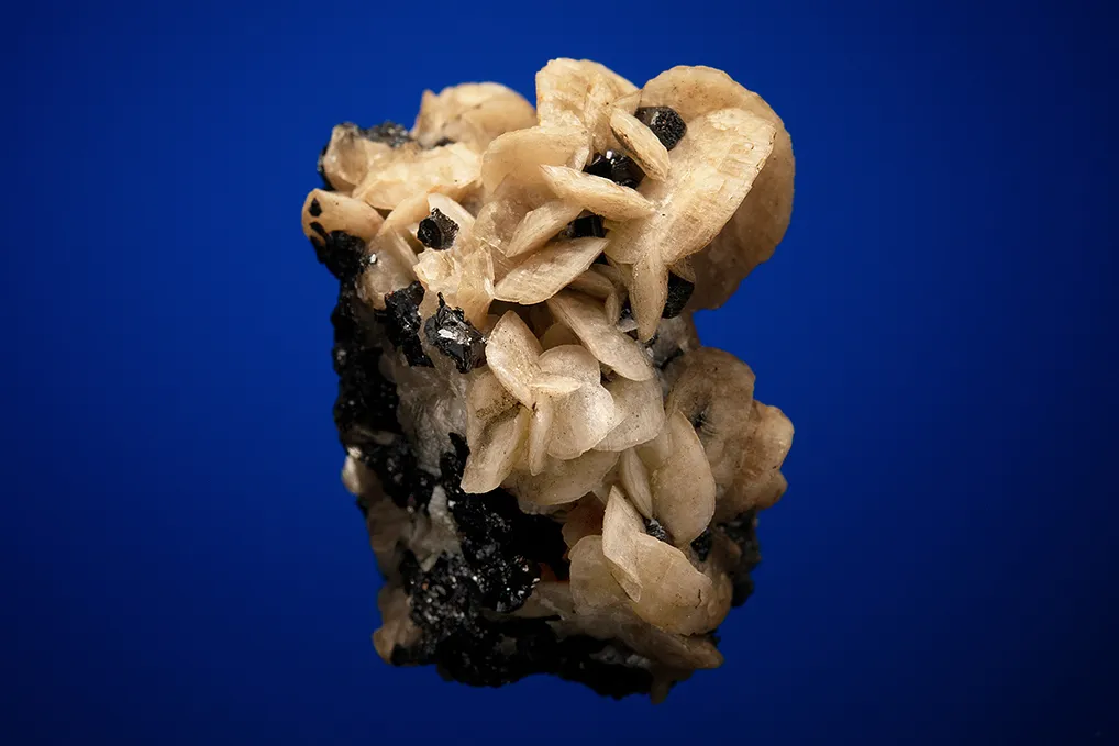 Siderite on Sphalerite - image 3