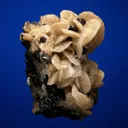 Siderite on Sphalerite - image 3