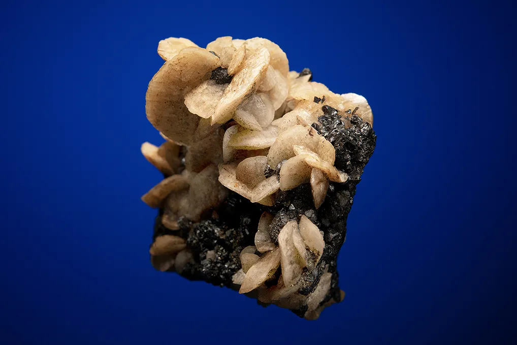Siderite on Sphalerite - image 2