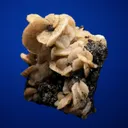 Siderite on Sphalerite - image 2