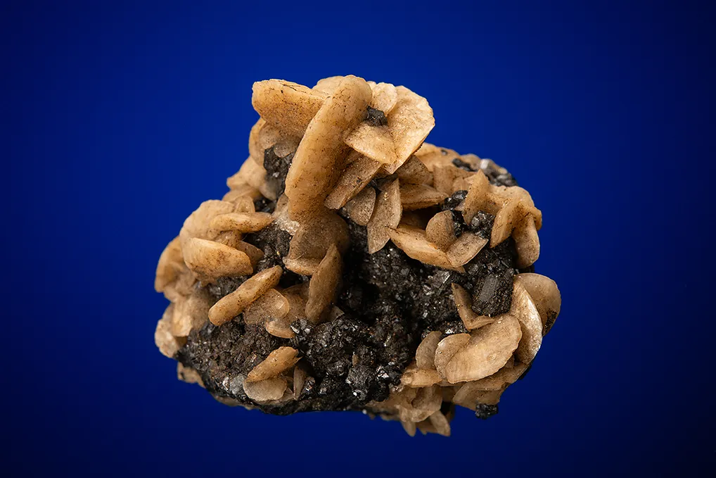Siderite on Sphalerite image