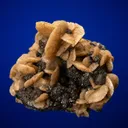 Siderite on Sphalerite - image 1