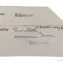 Siderite Pseudomorph After Baryte "Lady Slipper" - image 6