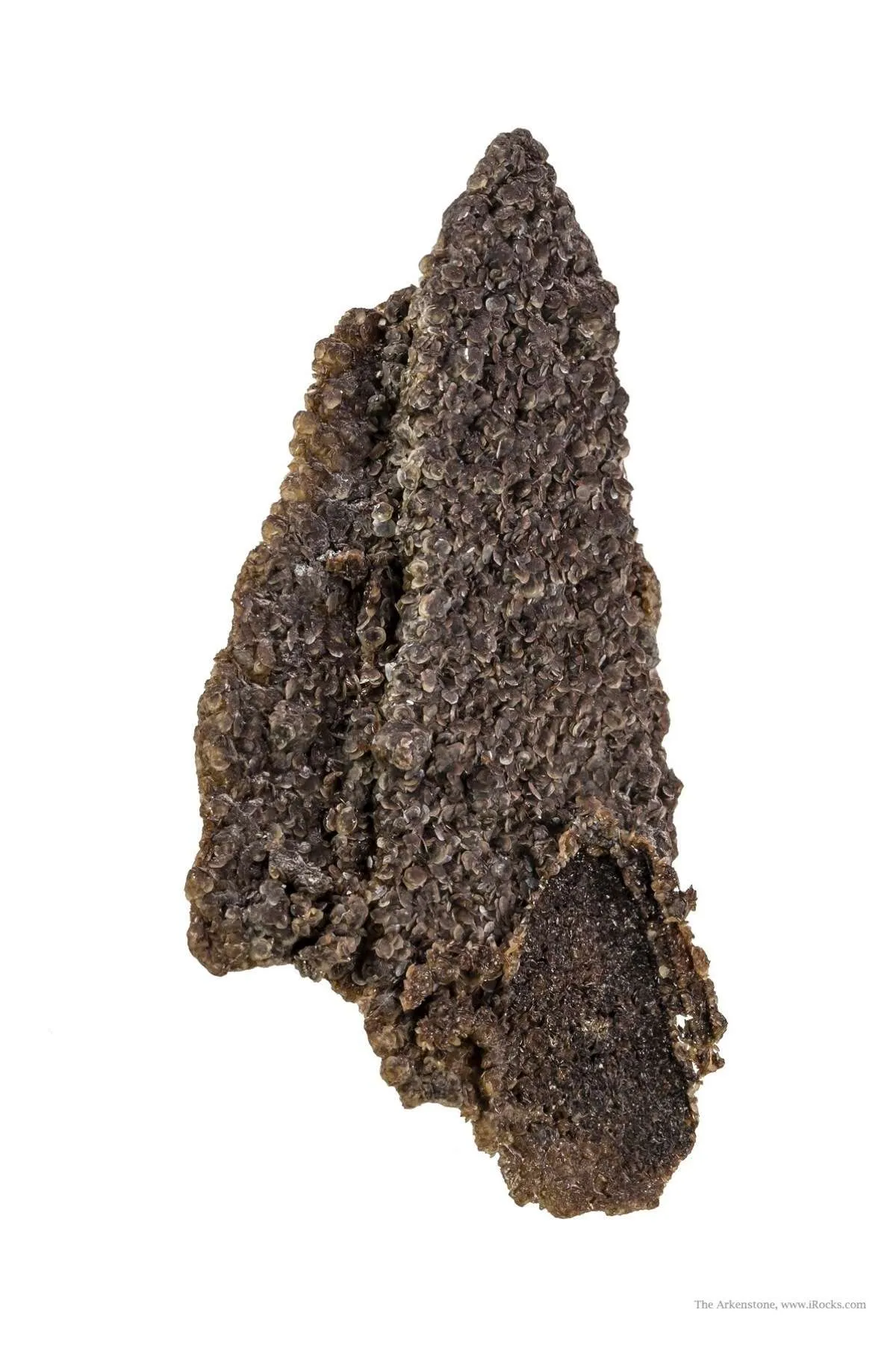 Siderite Pseudomorph After Baryte "Lady Slipper" - image 4