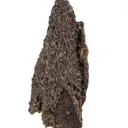 Siderite Pseudomorph After Baryte "Lady Slipper" - image 3