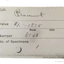 Siderite Pseudomorph After Baryte "Lady Slipper" - image 7