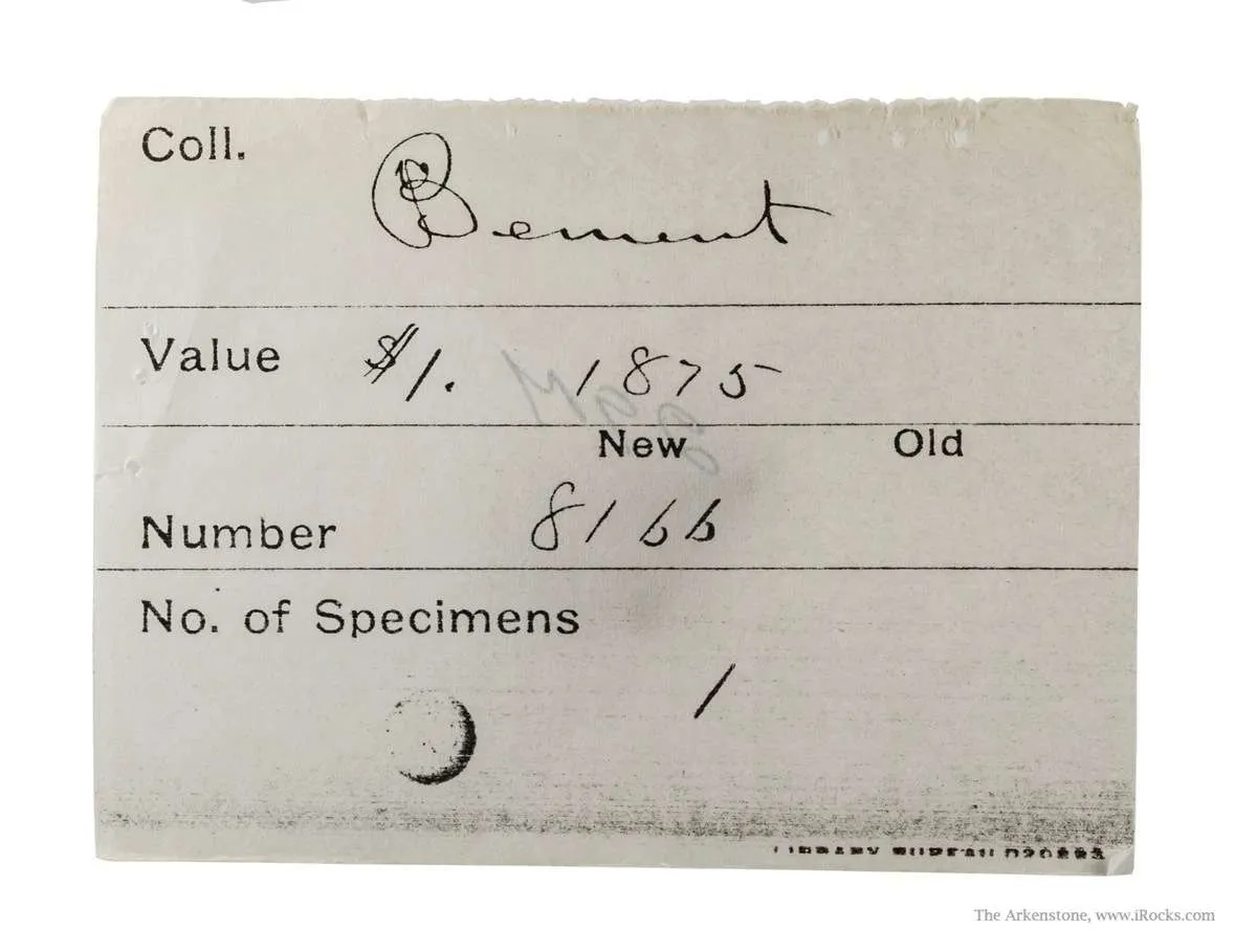 Siderite Pseudomorph After Baryte "Lady Slipper" - image 7