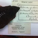 Siderite Pseudomorph After Baryte "Lady Slipper" - image 8