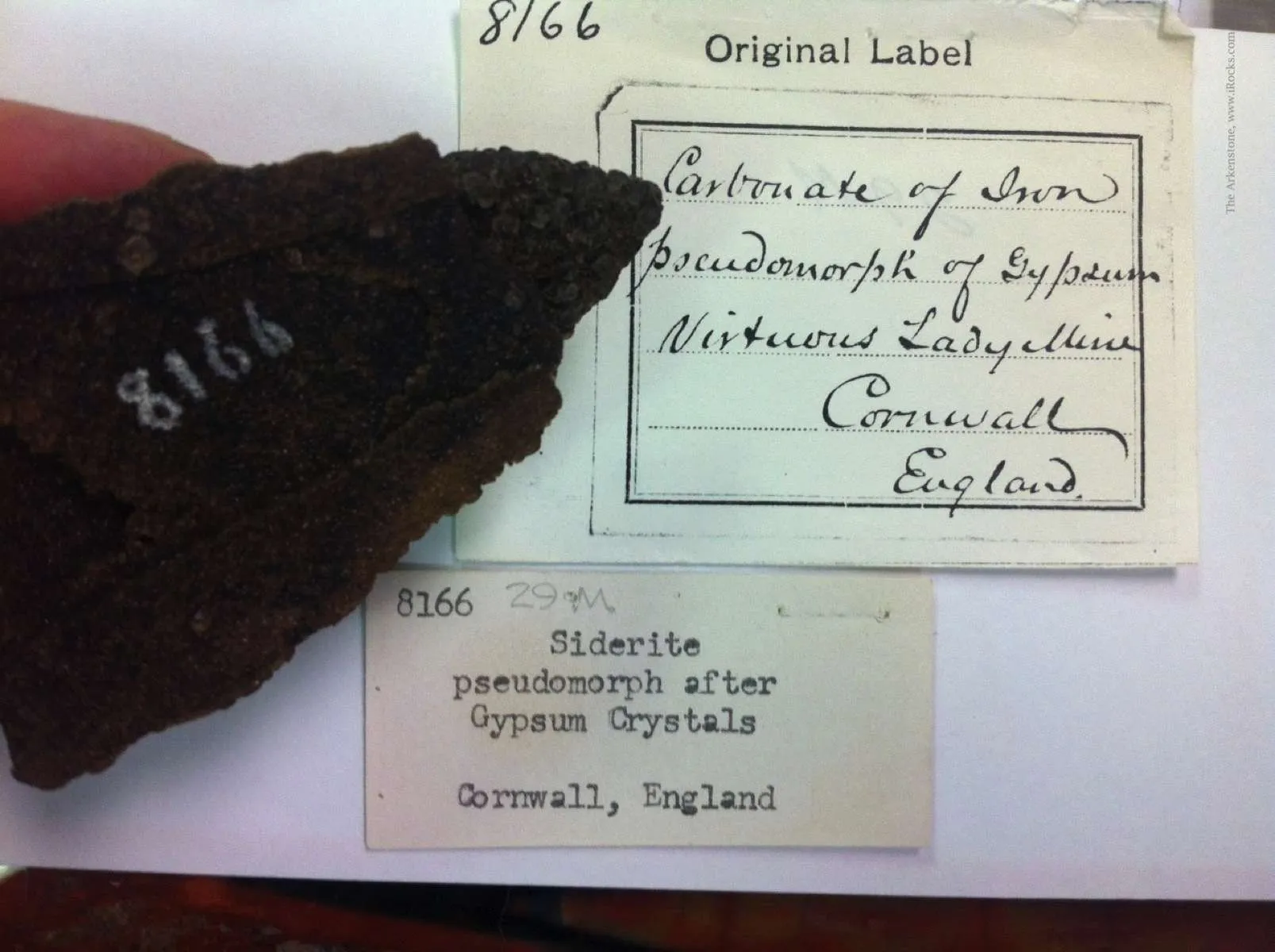 Siderite Pseudomorph After Baryte "Lady Slipper" - image 8