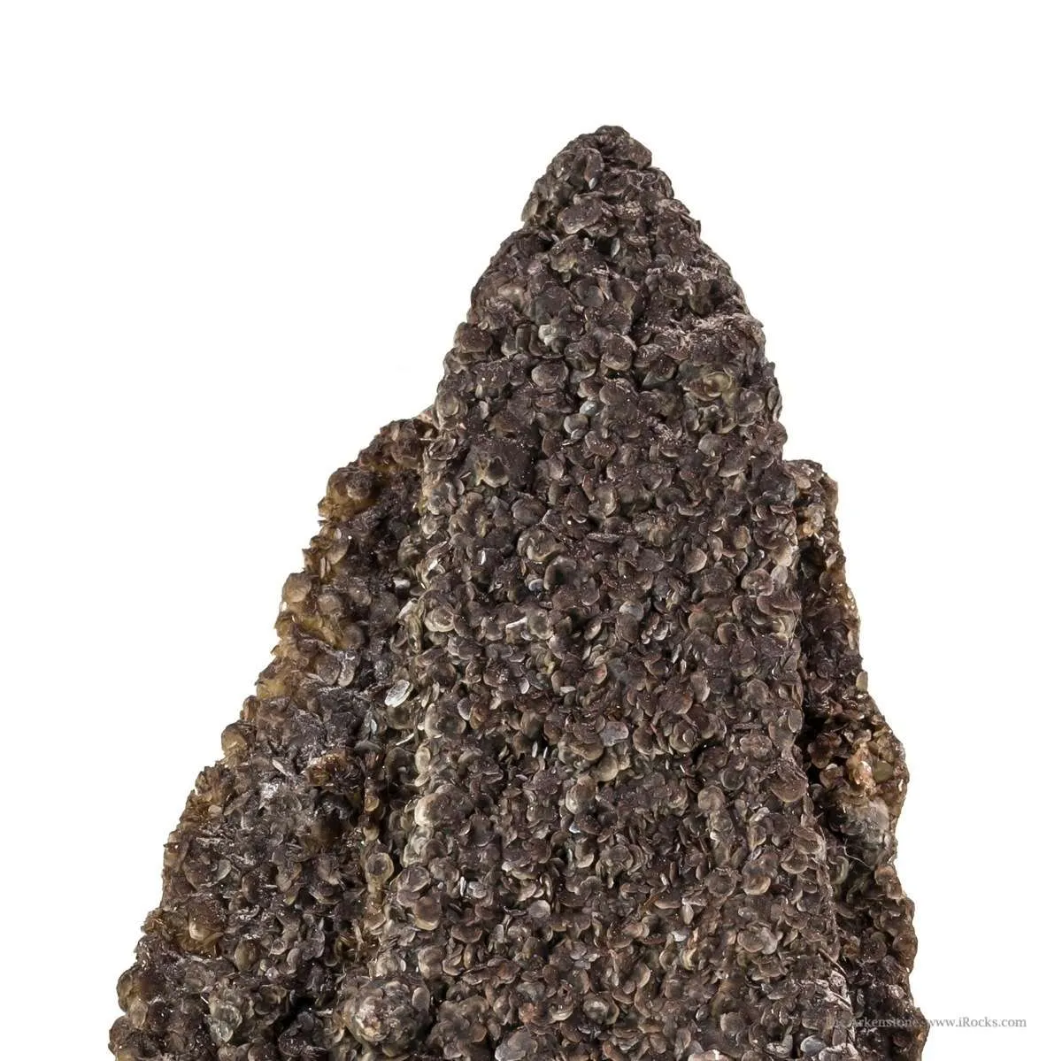 Siderite Pseudomorph After Baryte "Lady Slipper" - image 2