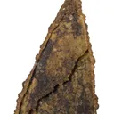 Siderite pseudomorph Baryte (aka "Lady Slipper" ) - image 3