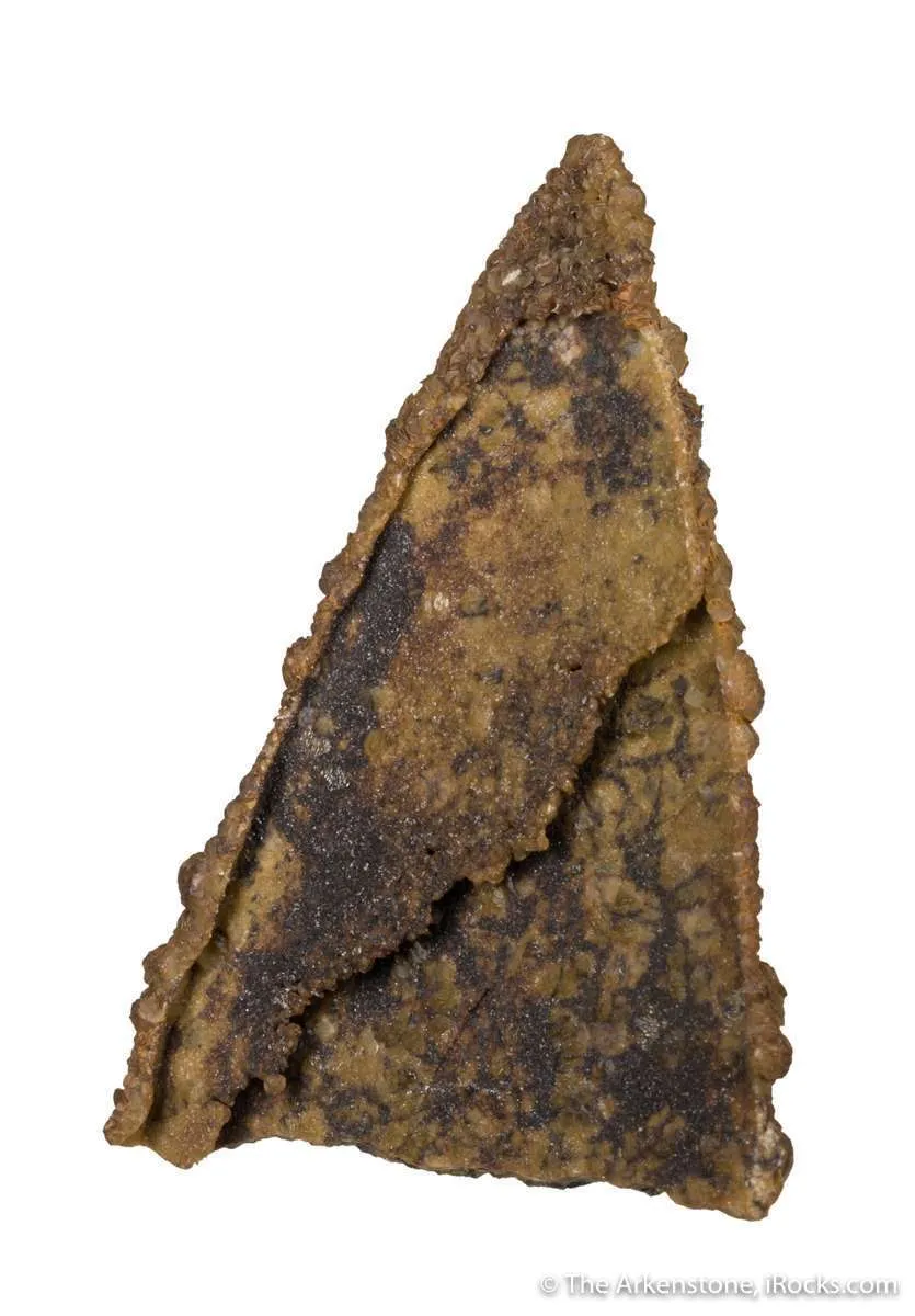 Siderite pseudomorph Baryte (aka "Lady Slipper" ) - image 3