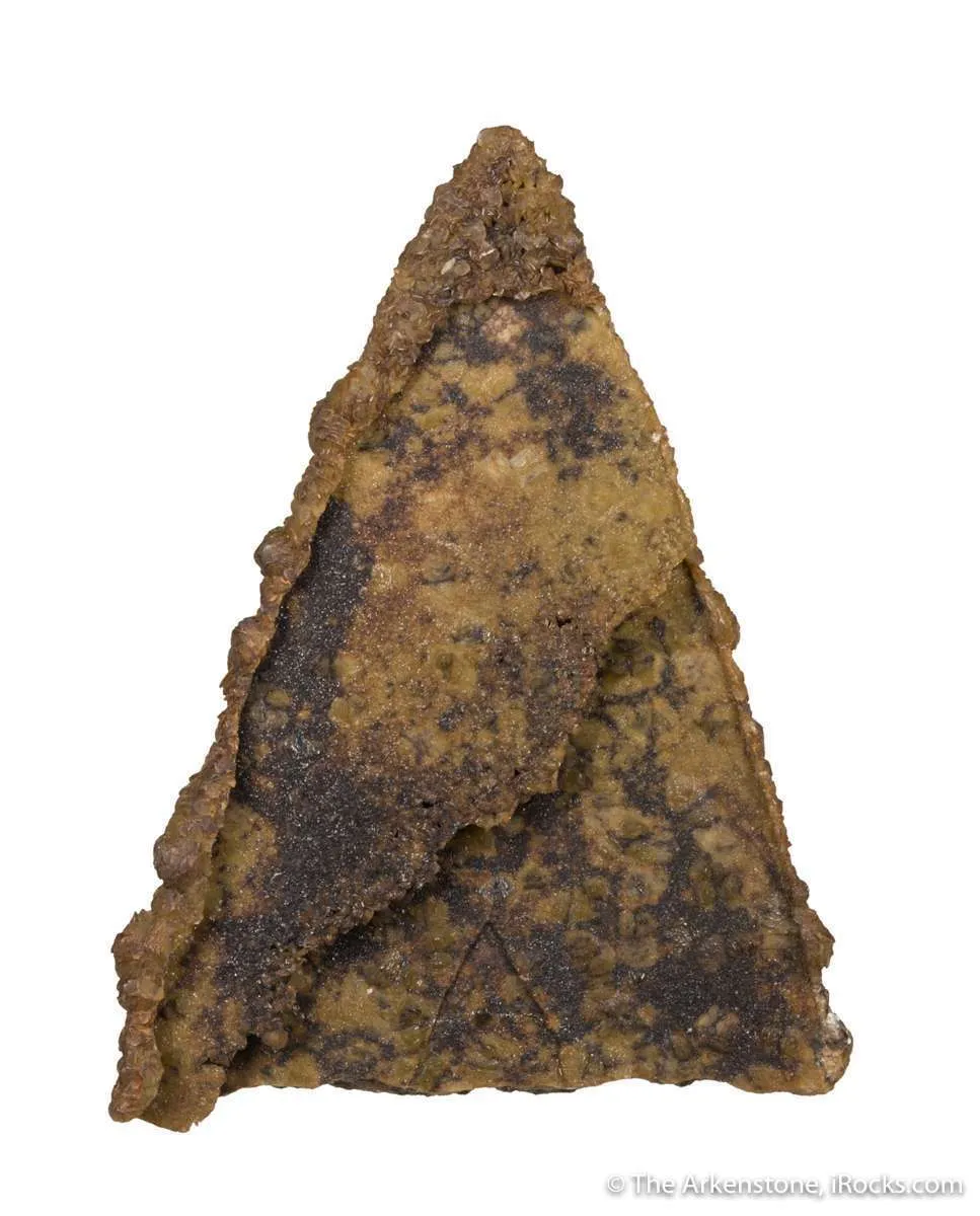 Siderite pseudomorph Baryte (aka "Lady Slipper" ) - image 2