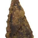 Siderite pseudomorph Baryte (aka "Lady Slipper" ) - image 4