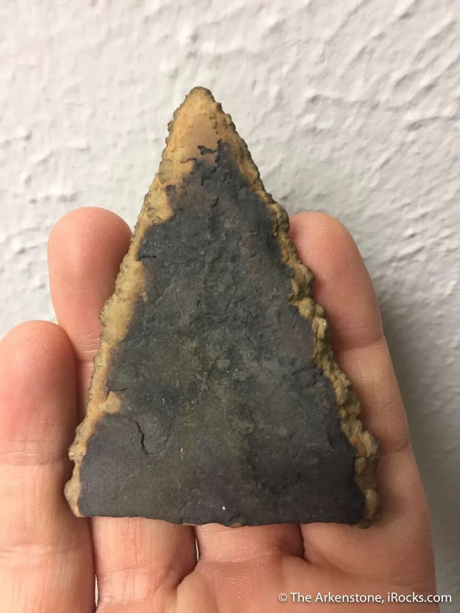 Siderite pseudomorph Baryte (aka "Lady Slipper" ) - image 6