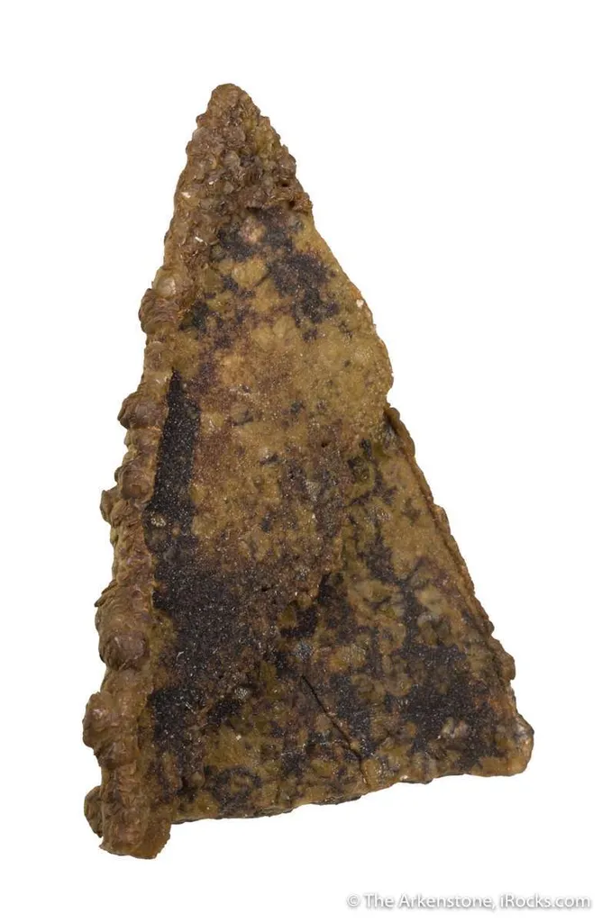 Siderite pseudomorph Baryte (aka "Lady Slipper" ) - image 4