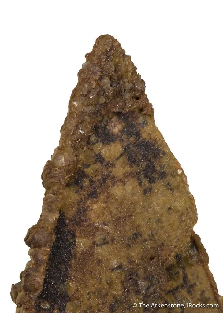 Siderite pseudomorph Baryte (aka "Lady Slipper" ) image