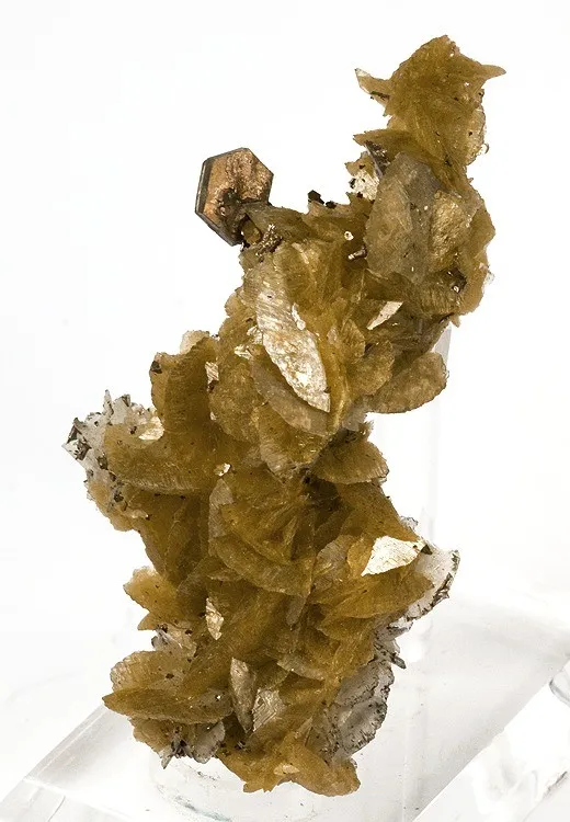 Siderite, Pyrrhotite, Cubanite image