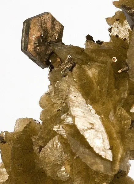 Siderite, Pyrrhotite, Cubanite - image 2