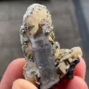 Siderite, Quartz and Pyrite - image 5