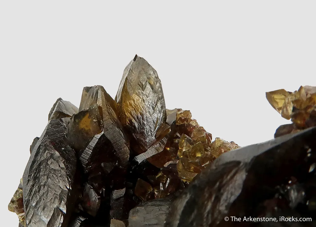 Siderite - rare xls for locality! - image 10