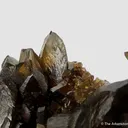 Siderite - rare xls for locality! - image 10