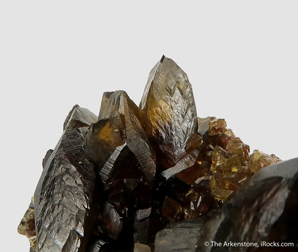 Siderite - rare xls for locality! - image 6